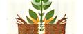 Urban Sprout Market logo